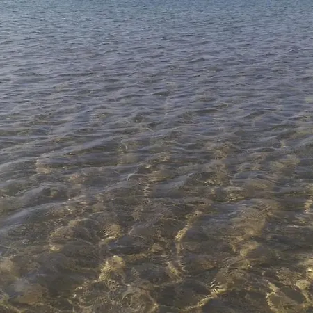 Sea * Elena Marina