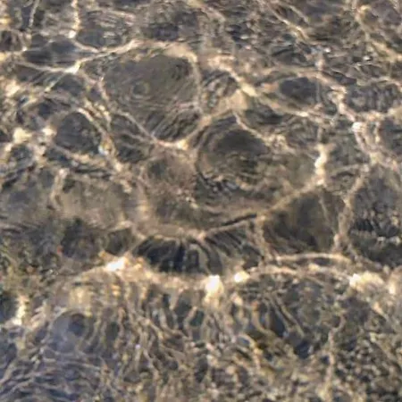 Sea Elena Marina