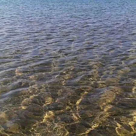 Sea Elena Marina